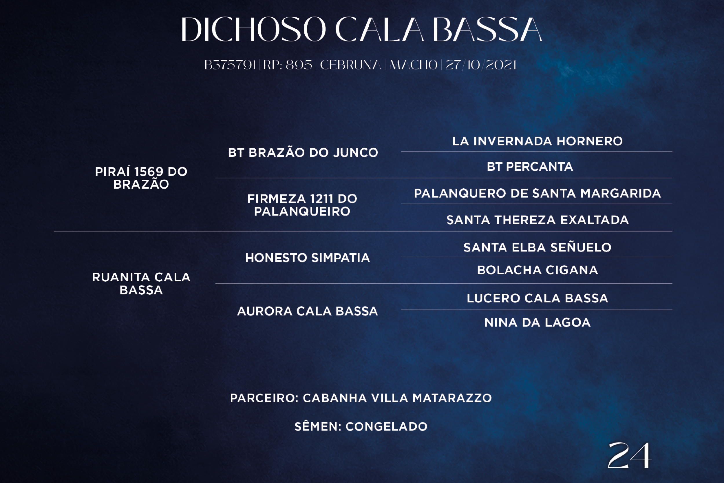 Geração DICHOSO CALA BASSA