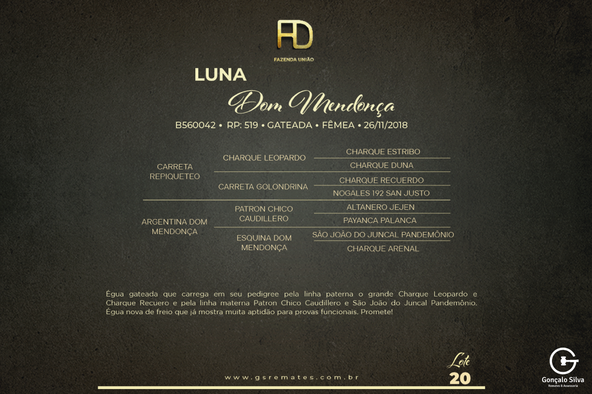 Geração LUNA DOM MENDONÇA