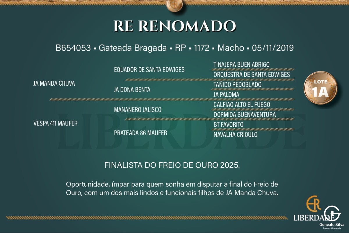 Geração RE RENOMADO