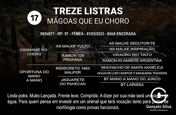 Geração TREZE LISTRAS MÁGOAS QUE EU CHORO