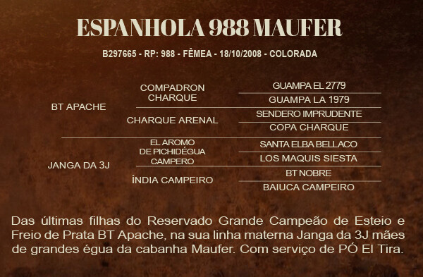 Geração ESPANHOLA 988 MAUFER 