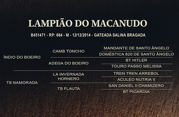 Geração LAMPIÃO DA MACANUDO