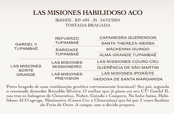 Geração  LAS MISIONES HABILIDOSO ACO