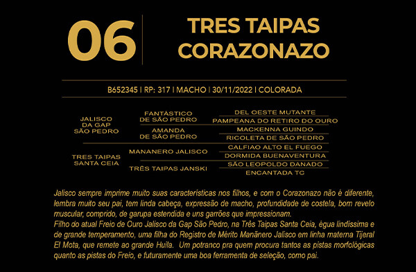 Geração TRÊS TAIPAS CORAZONAZO