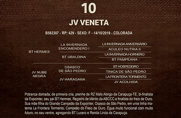 Geração JV VENETA 