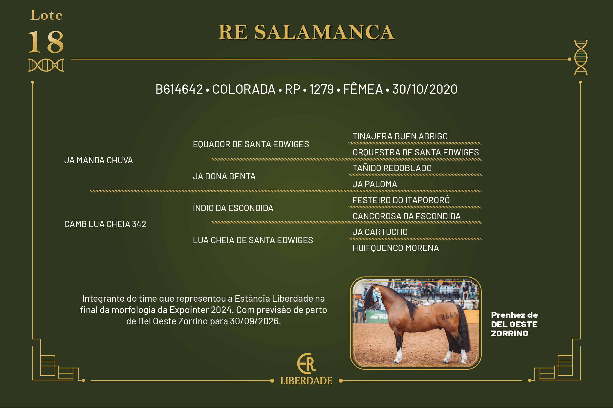Geração RE SALAMANCA 