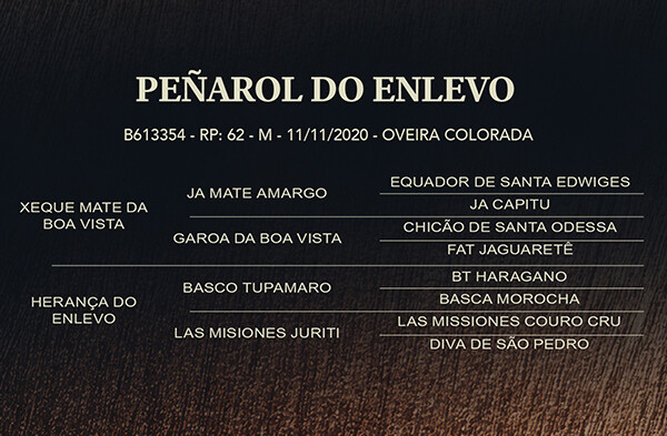 Geração PEÑAROL DO ENLEVO