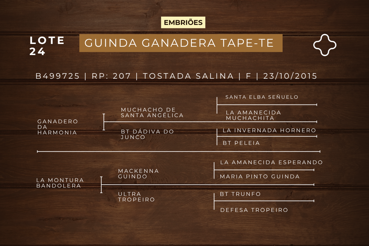 Geração EMBRIÃO GUINDA GANADERA TAPE - TE