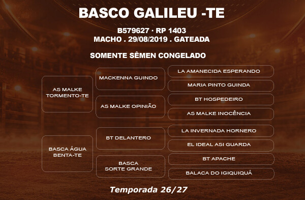 Geração COBERTURA BASCO GALILEU - TE 