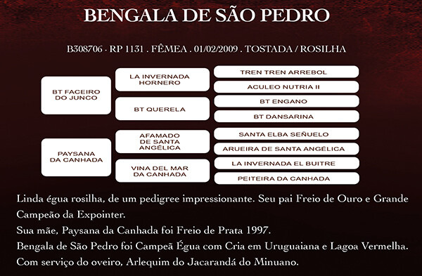 Geração BENGALA DE SÃO PEDRO 