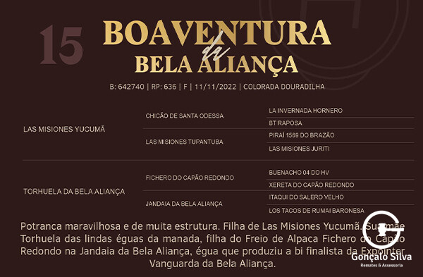Geração BOAVENTURA DA BELA ALIANÇA