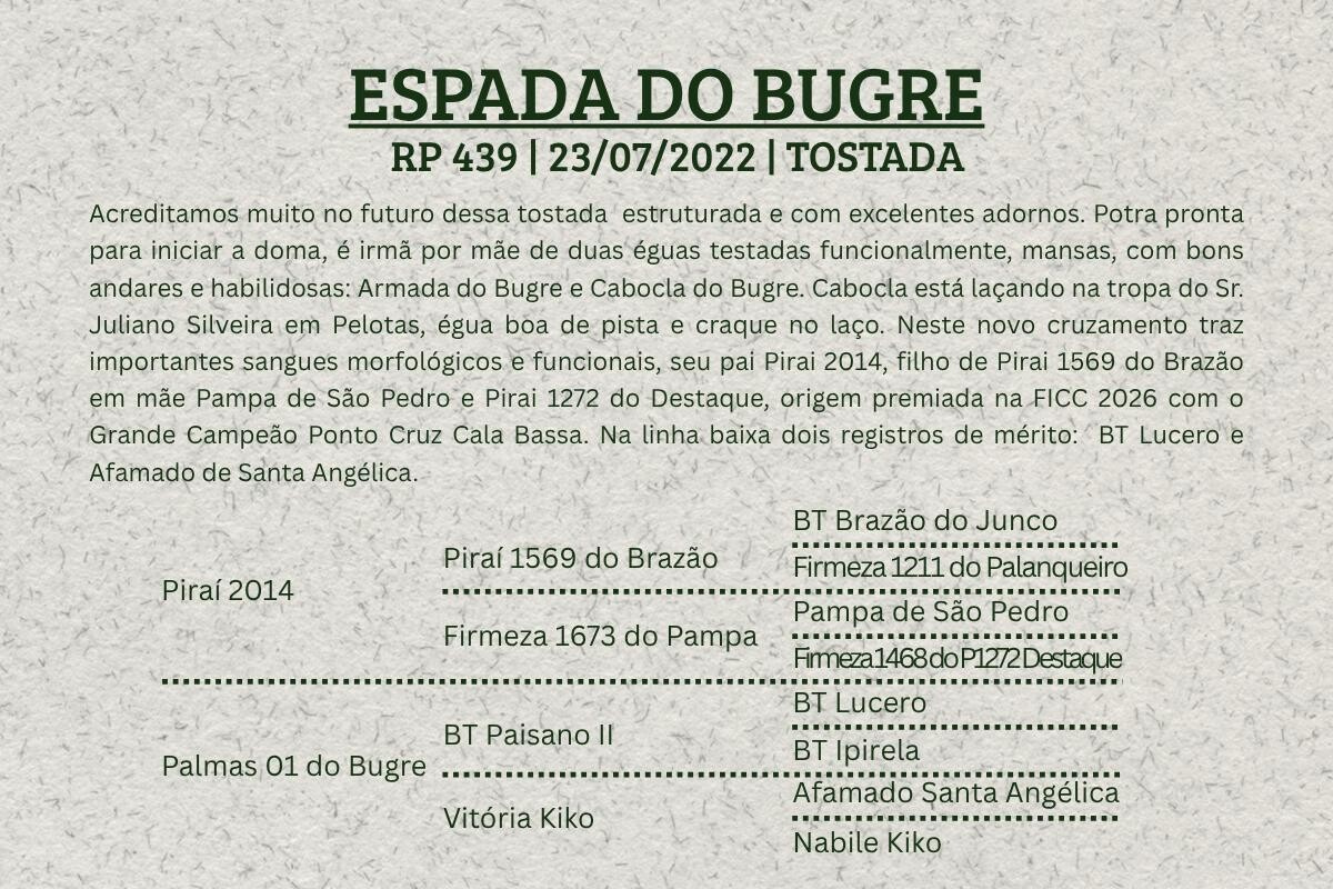 Geração ESPADA DO BUGRE