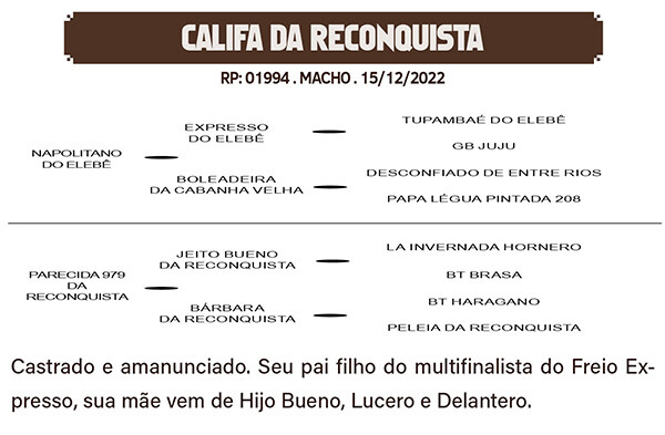 Geração CALIFA DA RECONQUISTA