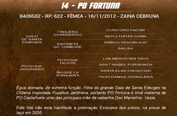 Geração PO FORTUNA