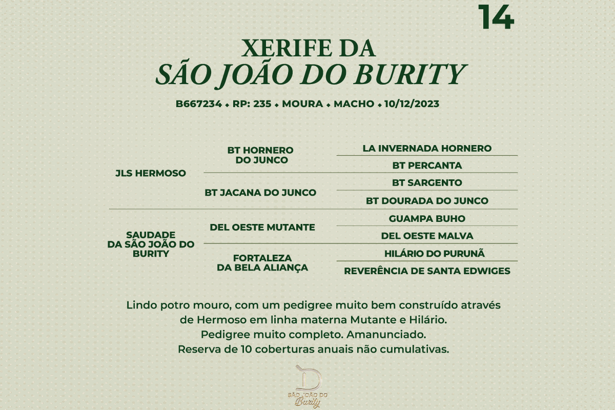 Geração XERIFE DA SÃO JOÃO DO BURITY