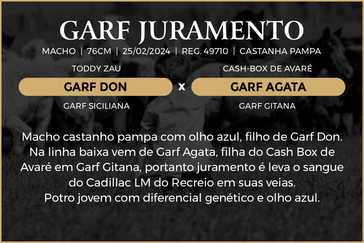 Geração GARF JURAMENTO