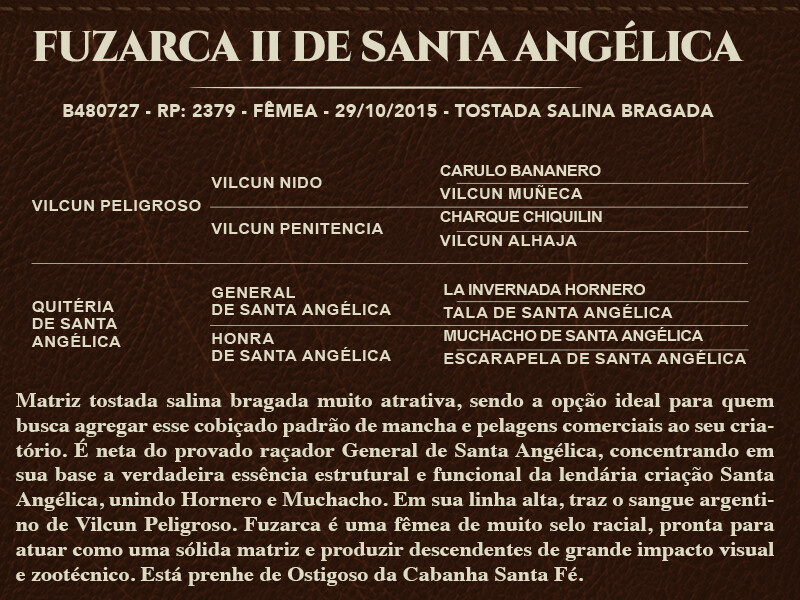 Geração FUZARCA II DE SANTA ANGÉLICA