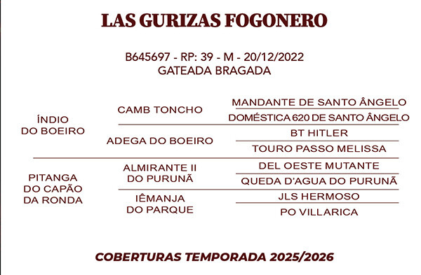 Geração LAS GURIZAS FOGONEIRO 