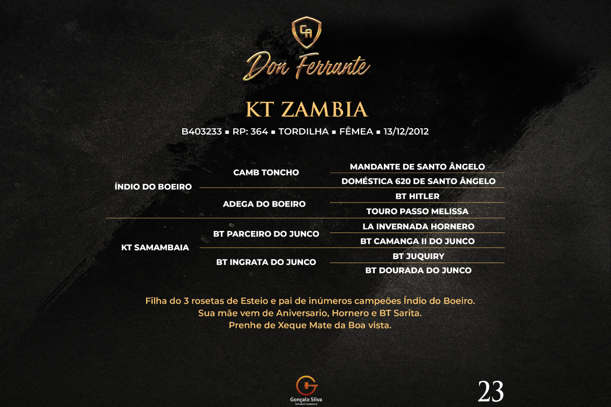 Geração KT ZAMBIA 