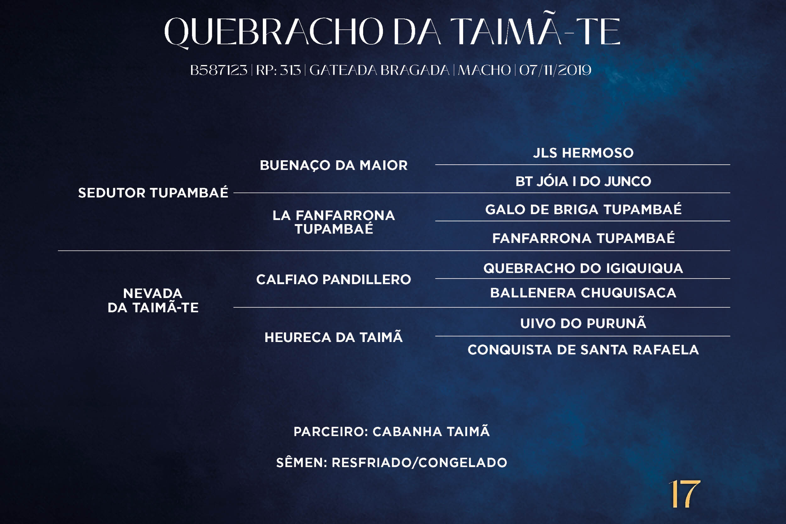 Geração QUEBRACHO DA TAIMÃ-TE