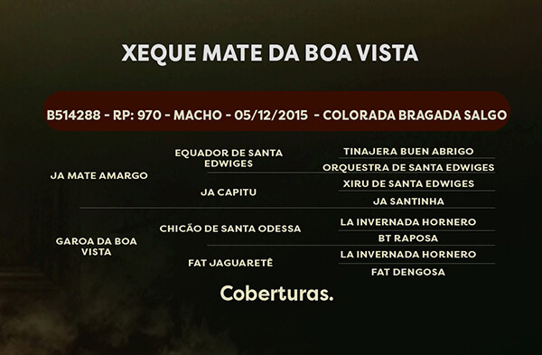 Geração XEQUE MATE DA BOA VISTA