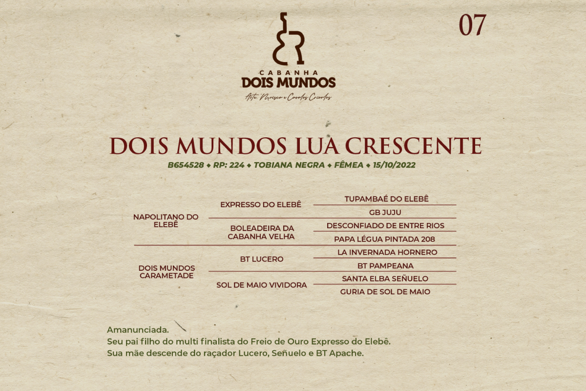 Geração DOIS MUNDOS LUA CRESCENTE