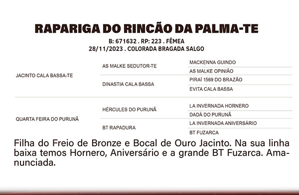 Geração RAPARIGA DO RINÇÃO DA PALMA - TE