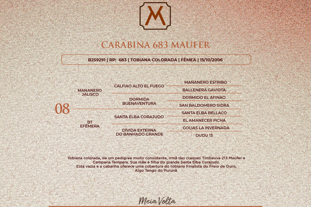 Geração CARABINA 683 MAUFER