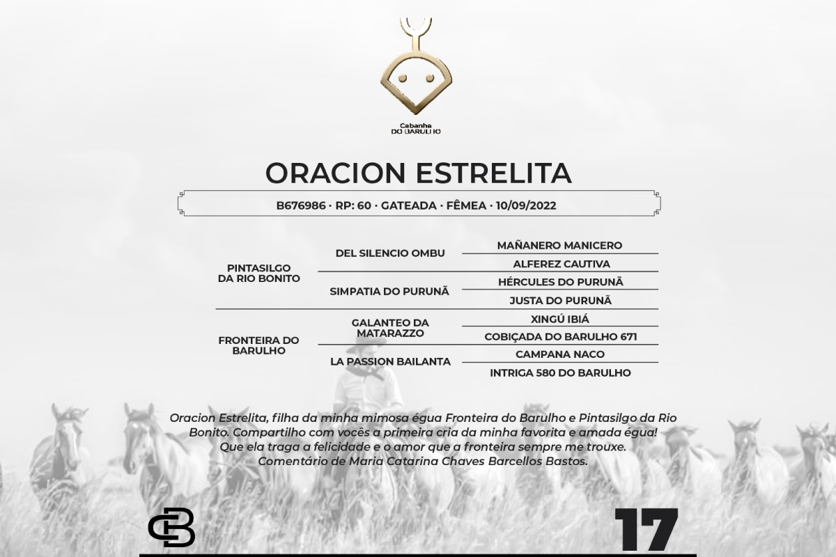Geração ORACION ESTRELITA