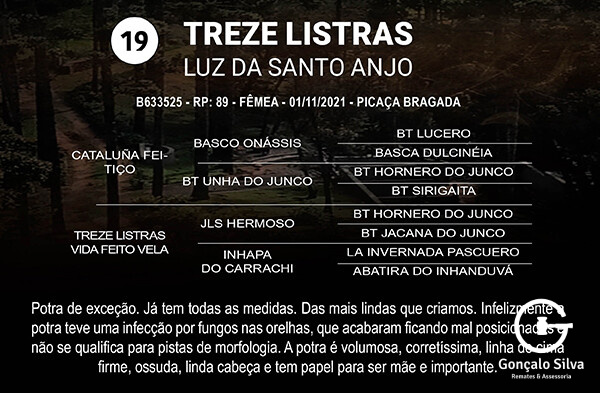 Geração TREZE LISTRAS LUZ DA SANTO ANJO