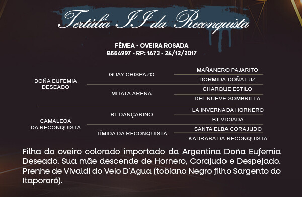 Geração TERTULIA II DA RECONQUISTA