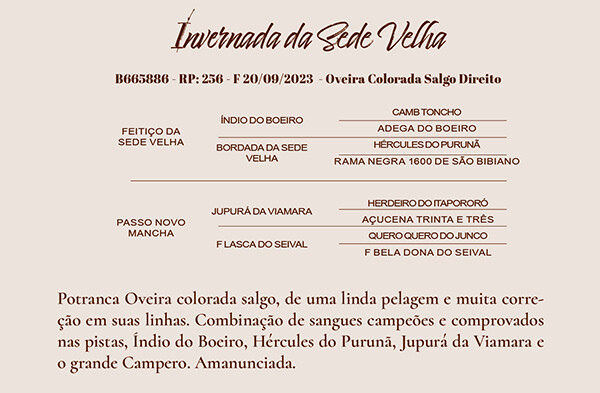 Geração INVERNADA DA SEDE VELHA