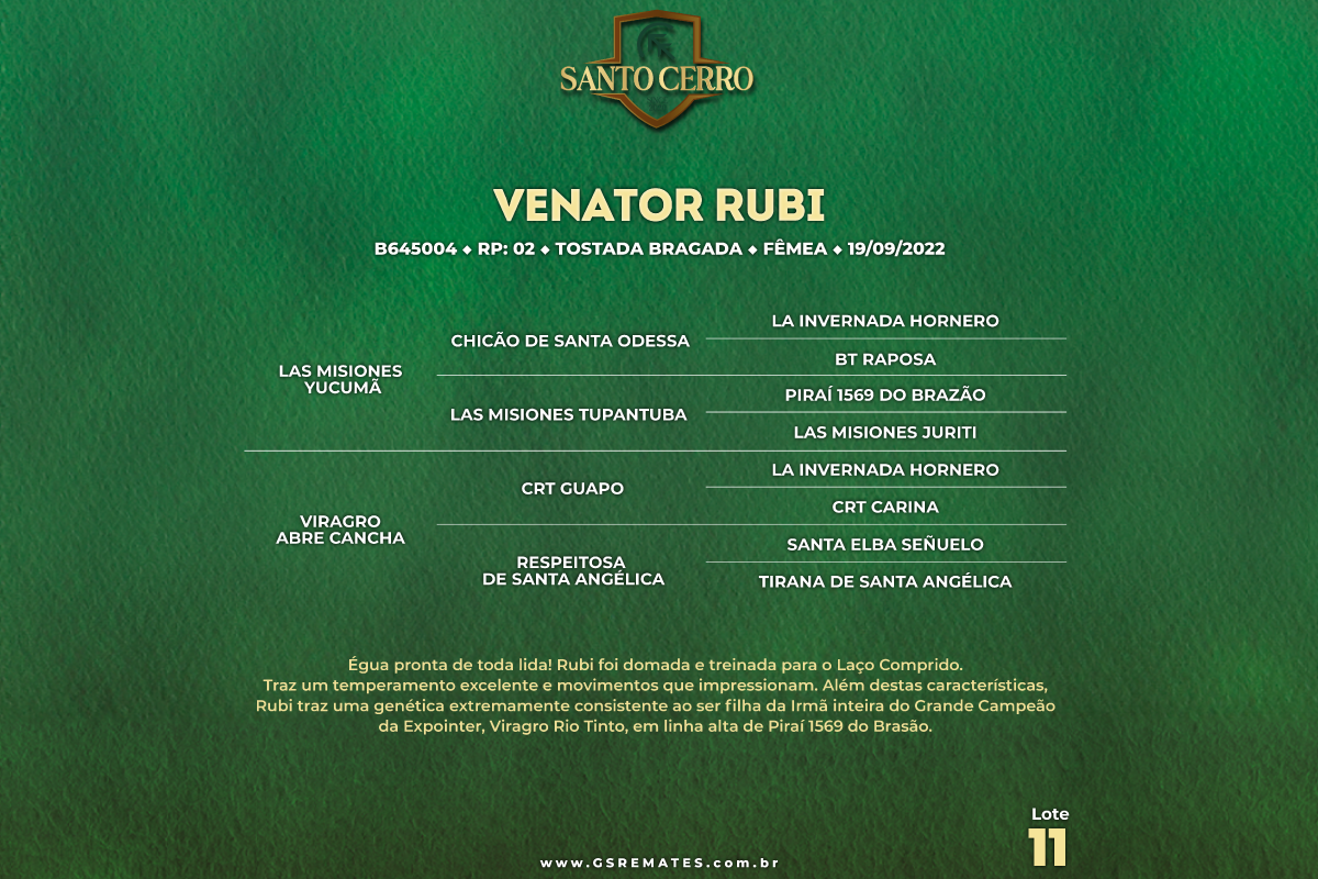 Geração VENATOR RUBI