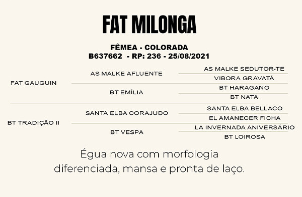 Geração FAT MILONGA 