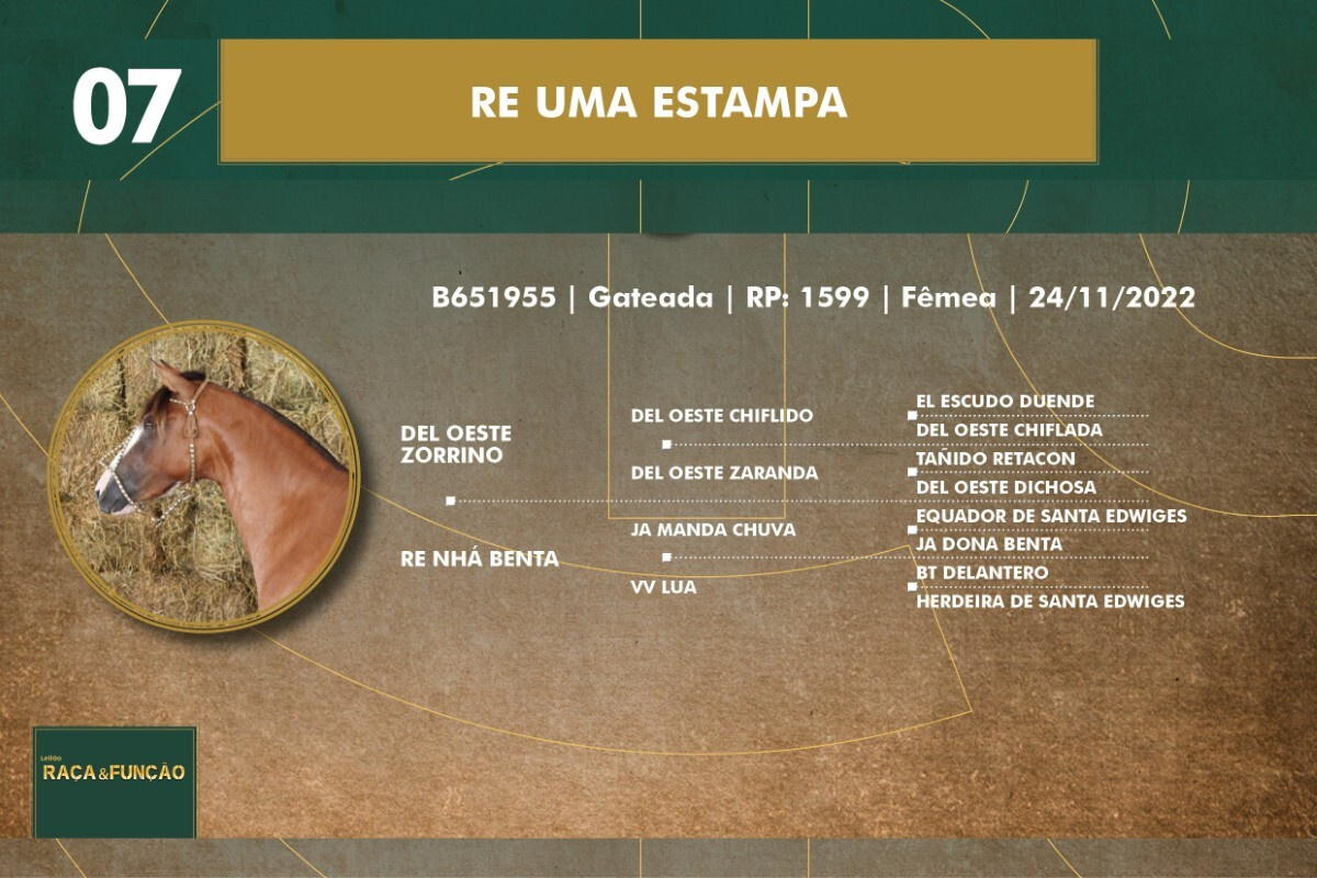 Geração RE UMA ESTAMPA