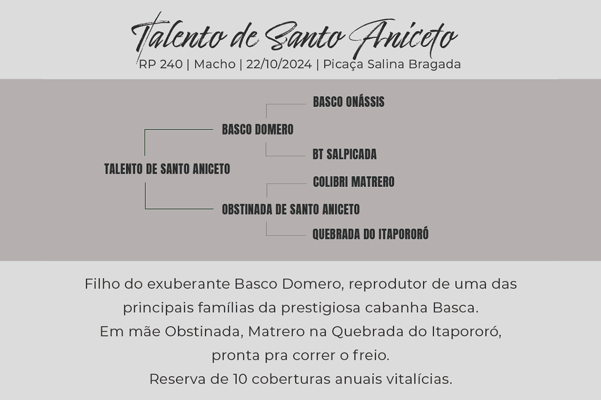 Geração TALENTO DE SANTO ANICETO