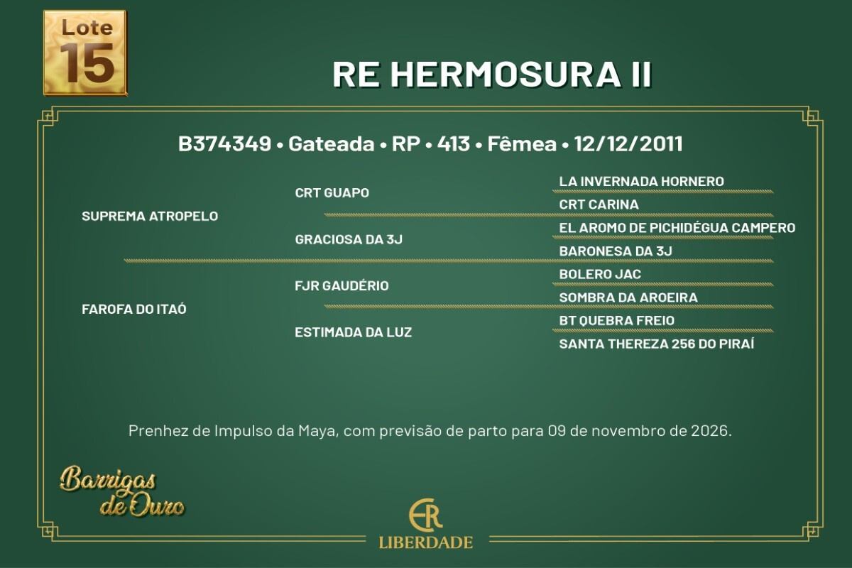Geração RE HERMOSURA II