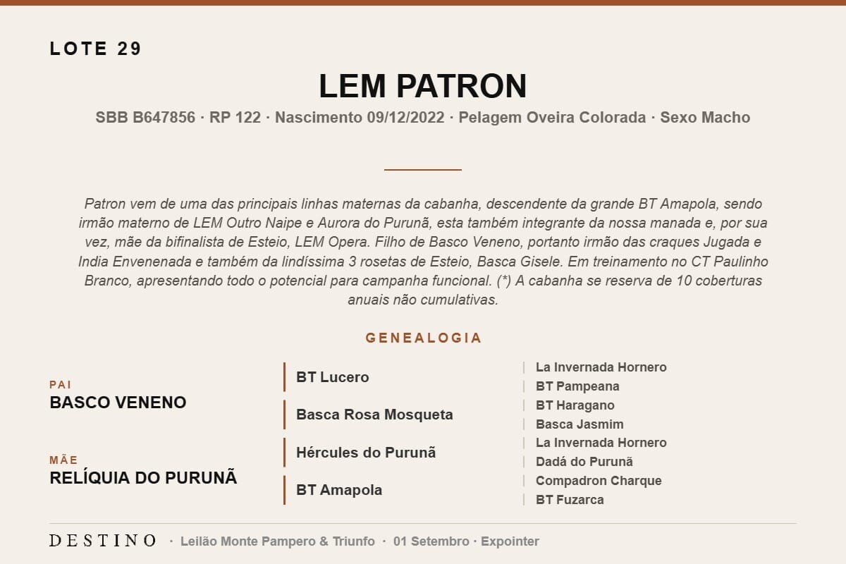 Geração LEM PATRON