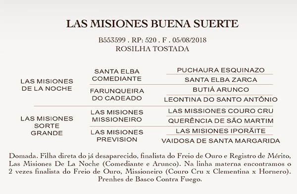 Geração LAS MISIONES BUENA SUERTE