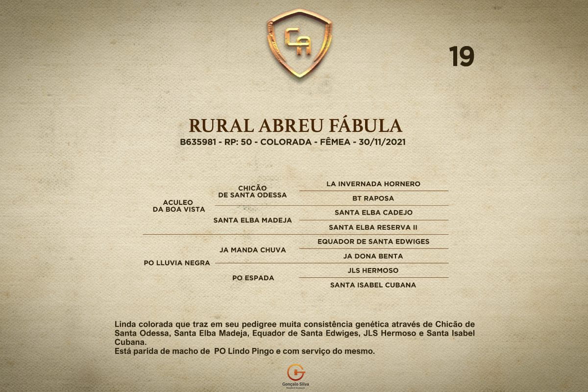 Geração RURAL ABREU FÁBULA