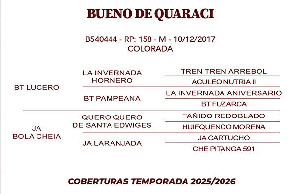 Geração BUENO DE QUARACI 