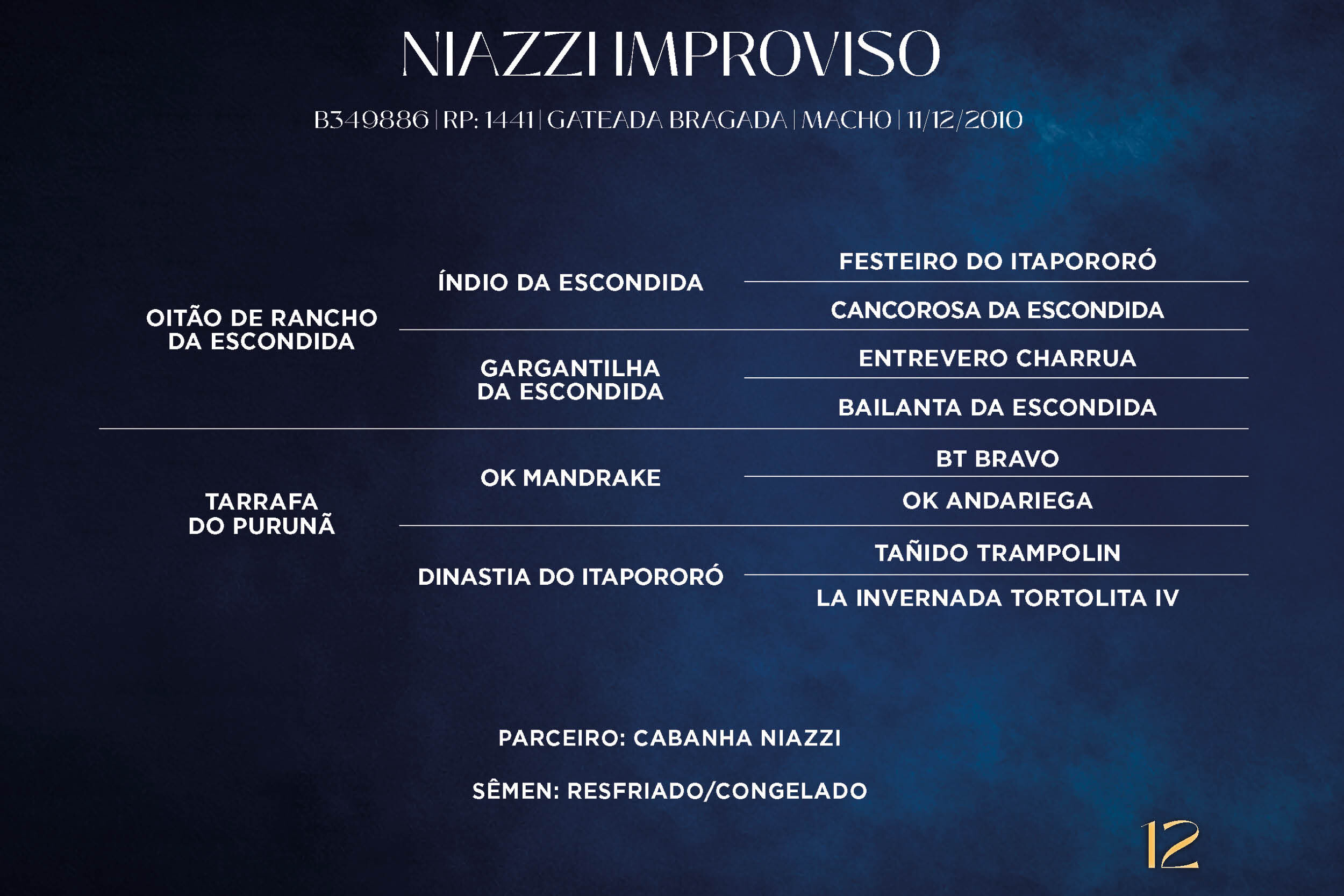 Geração NIAZZI IMPROVISO