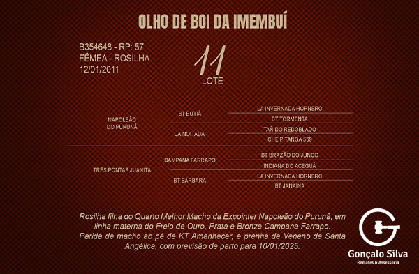Geração OLHO DE BOI DA IMEMBUÍ