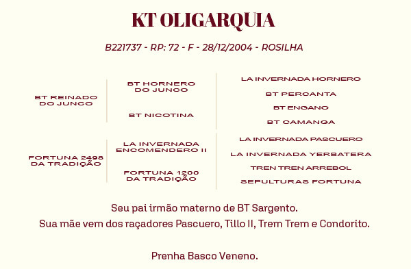 Geração KT OLIGARQUIA