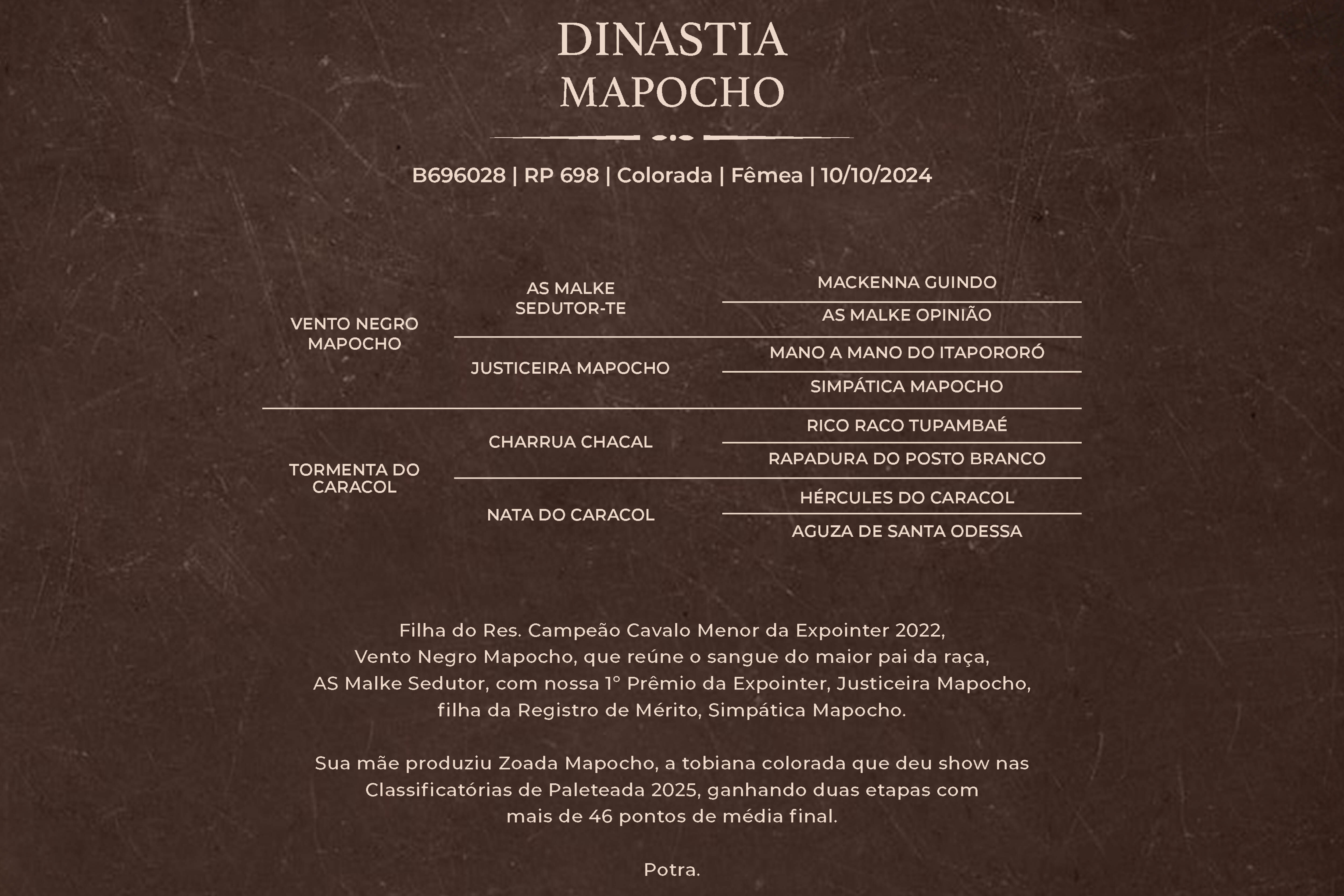 Geração DINASTIA MAPOCHO
