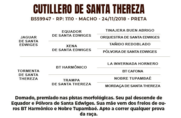 Geração CUTILLERO DE SANTA THEREZA