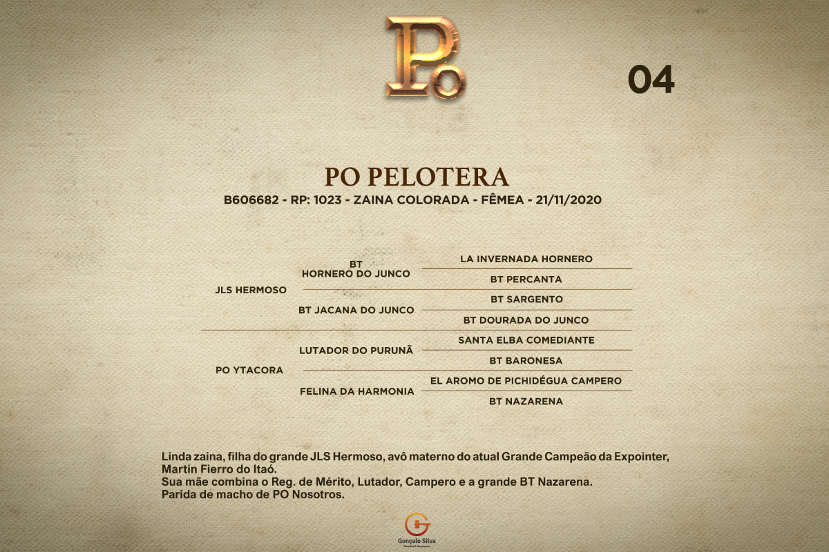 Geração PO PELOTERA