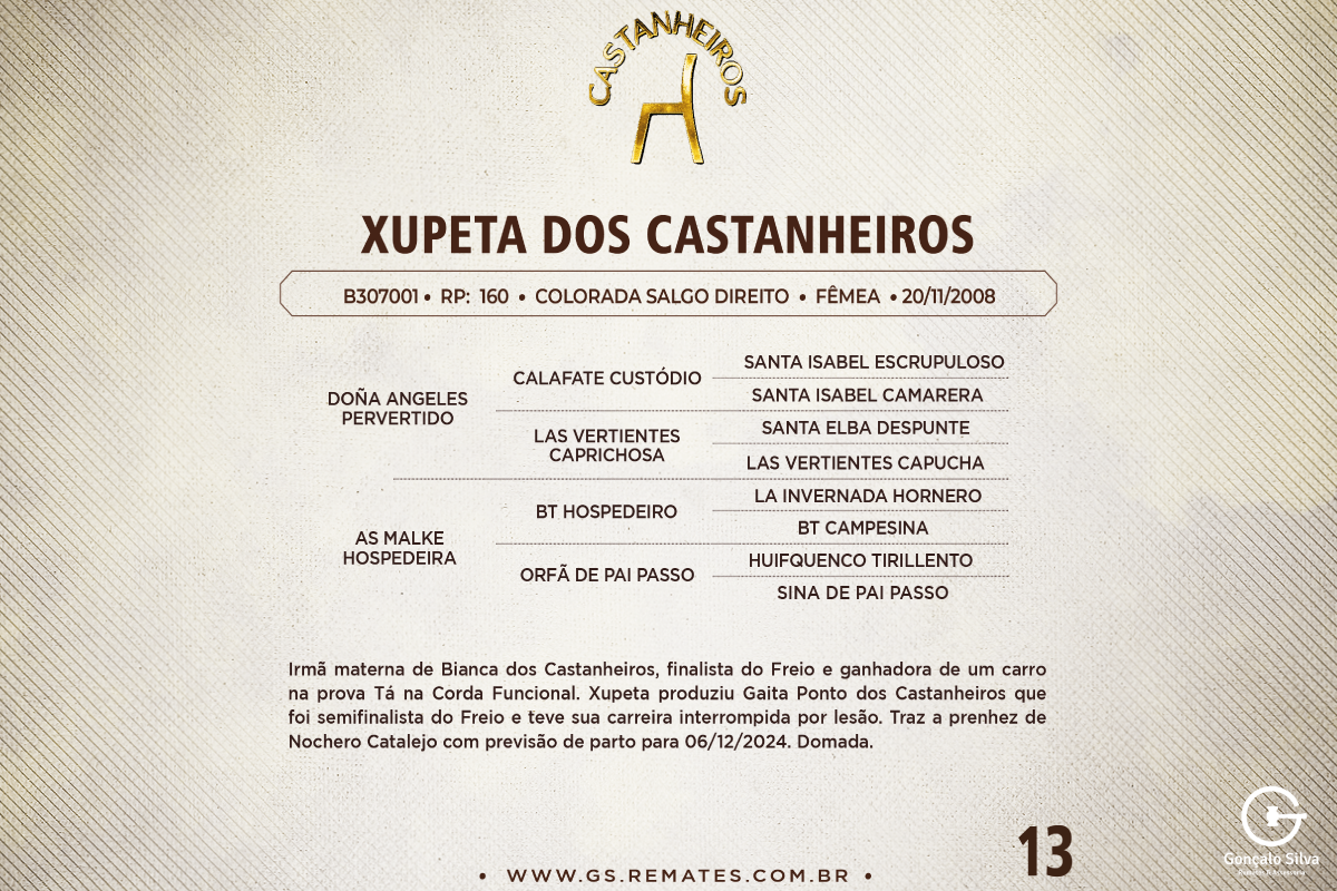 Geração XUPETA DOS CASTANHEIROS