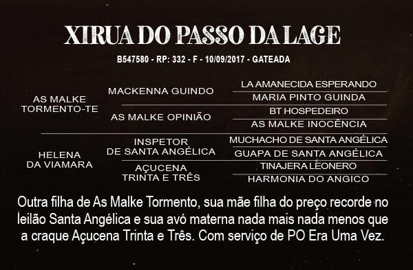 Geração XIRUA DO PASSO DA LAGE 