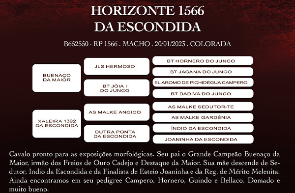 Geração HORIZONTE 1566 DA ESCONDIDA